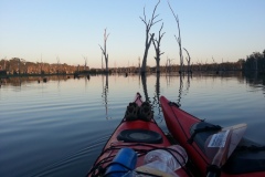 Murray River Paddle
